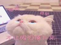 邳州杰之锐商贸有限公司