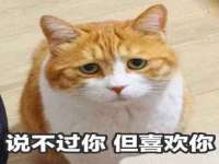 邳州杰之锐商贸有限公司