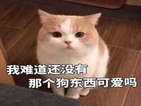 邳州杰之锐商贸有限公司