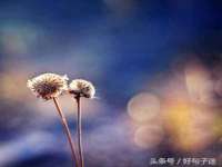邳州杰之锐商贸有限公司