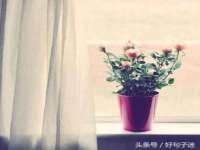邳州杰之锐商贸有限公司