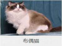 邳州杰之锐商贸有限公司