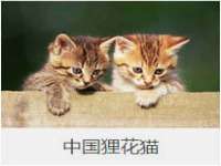 邳州杰之锐商贸有限公司