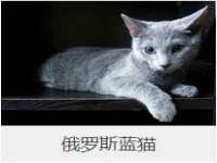 邳州杰之锐商贸有限公司