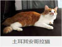 邳州杰之锐商贸有限公司