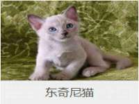 邳州杰之锐商贸有限公司