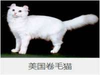 邳州杰之锐商贸有限公司