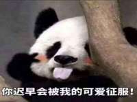 邳州杰之锐商贸有限公司