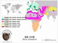 邳州杰之锐商贸有限公司