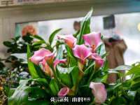 邳州杰之锐商贸有限公司