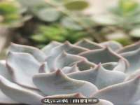 邳州杰之锐商贸有限公司