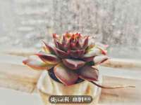 邳州杰之锐商贸有限公司