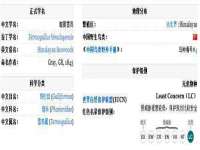 邳州杰之锐商贸有限公司