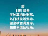 邳州杰之锐商贸有限公司