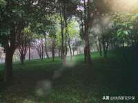 邳州杰之锐商贸有限公司
