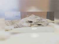 邳州杰之锐商贸有限公司