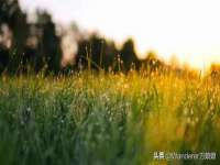邳州杰之锐商贸有限公司
