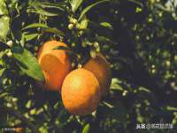 邳州杰之锐商贸有限公司
