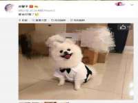 邳州杰之锐商贸有限公司