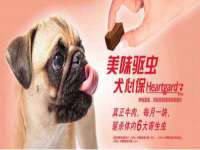 邳州杰之锐商贸有限公司
