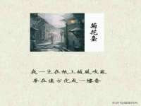 邳州杰之锐商贸有限公司