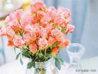 邳州杰之锐商贸有限公司