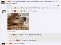 邳州杰之锐商贸有限公司