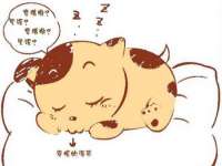 邳州杰之锐商贸有限公司