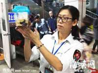 邳州杰之锐商贸有限公司