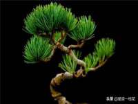 邳州杰之锐商贸有限公司
