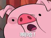 邳州杰之锐商贸有限公司