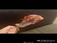 邳州杰之锐商贸有限公司